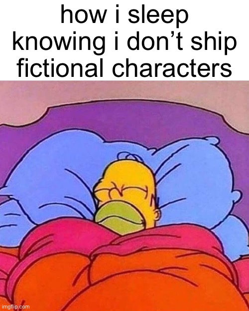 Homer Simpson sleeping peacefully | how i sleep knowing i don’t ship fictional characters | image tagged in homer simpson sleeping peacefully | made w/ Imgflip meme maker