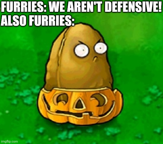 Nut. | FURRIES: WE AREN'T DEFENSIVE!
ALSO FURRIES: | image tagged in tall nut in a pumpkin | made w/ Imgflip meme maker