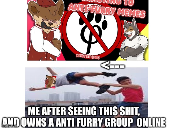 i do not need help | <---; ME AFTER SEEING THIS SHIT, AND OWNS A ANTI FURRY GROUP  ONLINE | image tagged in memes | made w/ Imgflip meme maker