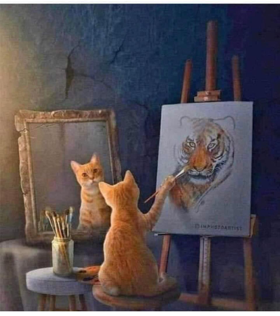 Cat thinks it's a tiger Blank Meme Template