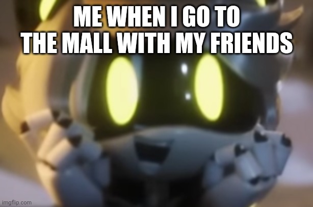 ME WHEN I GO TO THE MALL WITH MY FRIENDS | made w/ Imgflip meme maker