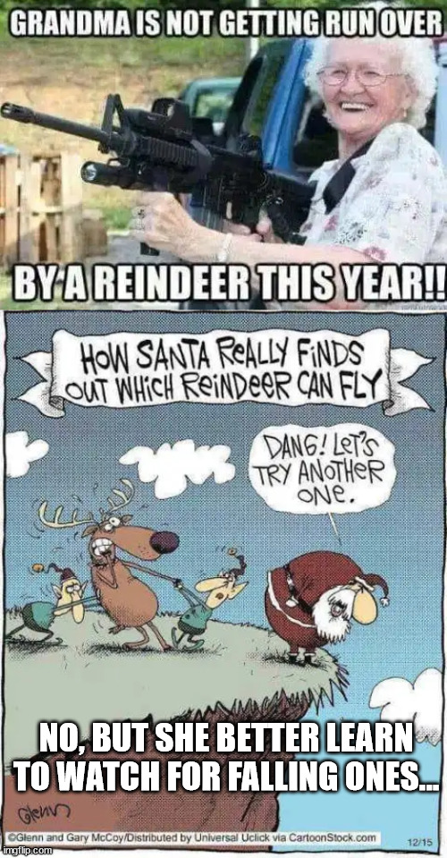Look out below.... | NO, BUT SHE BETTER LEARN TO WATCH FOR FALLING ONES... | image tagged in raining,reindeer,duck,grandma,eye roll | made w/ Imgflip meme maker