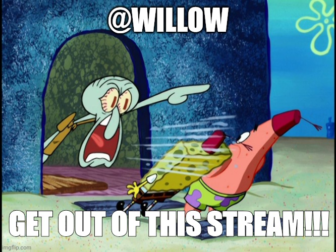 GET OUT OF MY HOUSE | @WILLOW; GET OUT OF THIS STREAM!!! | image tagged in get out of my house | made w/ Imgflip meme maker