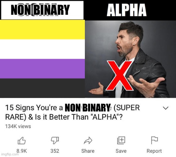 15 signs your a | NON BINARY; NON BINARY | image tagged in 15 signs your a,non binary,lgbtq,lgbt,shitpost,memes | made w/ Imgflip meme maker