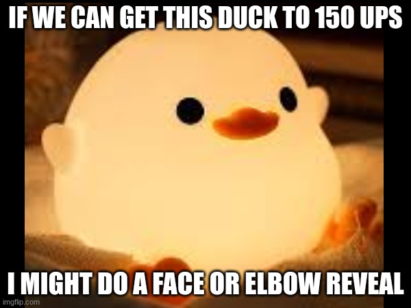 do et | IF WE CAN GET THIS DUCK TO 150 UPS; I MIGHT DO A FACE OR ELBOW REVEAL | image tagged in duck,up | made w/ Imgflip meme maker