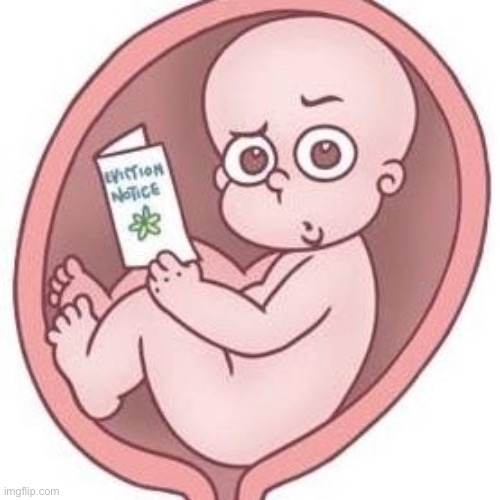 Baby Eviction Notice | image tagged in baby eviction notice | made w/ Imgflip meme maker