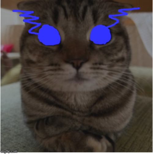 Low tier cat | image tagged in chill cat | made w/ Imgflip meme maker