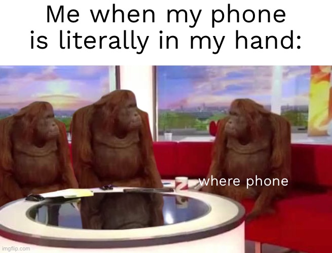 where monkey | Me when my phone is literally in my hand:; where phone | image tagged in where monkey | made w/ Imgflip meme maker