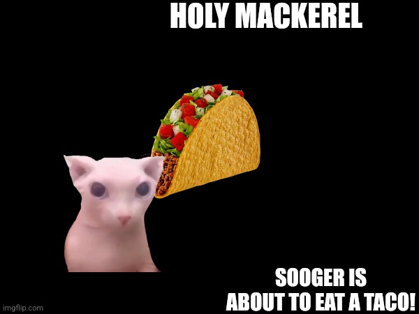 HOLY MACKEREL; SOOGER IS ABOUT TO EAT A TACO! | made w/ Imgflip meme maker