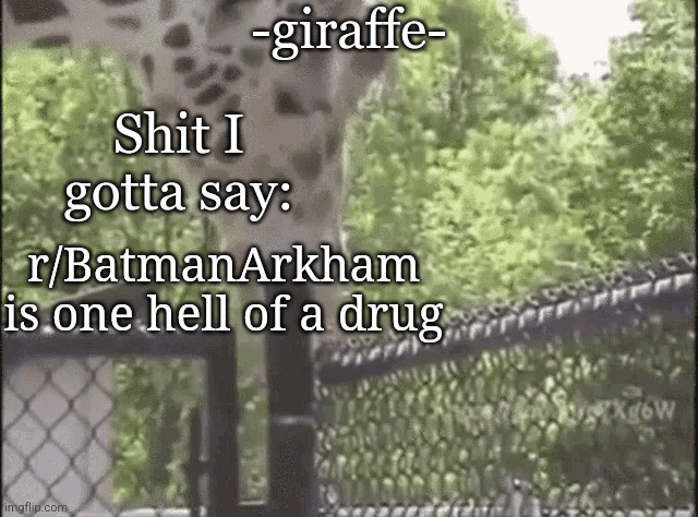 -giraffe- | r/BatmanArkham is one hell of a drug | image tagged in -giraffe- | made w/ Imgflip meme maker