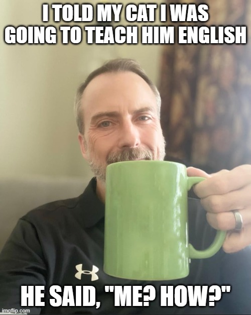 Dad cat jokes | I TOLD MY CAT I WAS GOING TO TEACH HIM ENGLISH; HE SAID, "ME? HOW?" | image tagged in dad jokes,cats,english | made w/ Imgflip meme maker