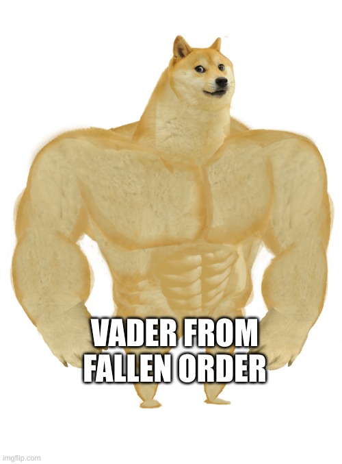 Swole Doge | VADER FROM FALLEN ORDER | image tagged in swole doge | made w/ Imgflip meme maker
