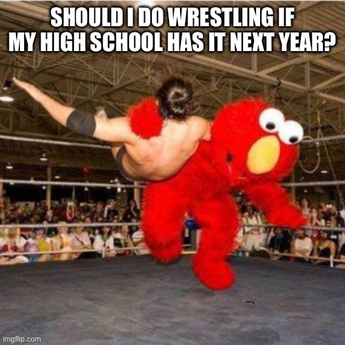Elmo wrestling | SHOULD I DO WRESTLING IF MY HIGH SCHOOL HAS IT NEXT YEAR? | image tagged in elmo wrestling | made w/ Imgflip meme maker