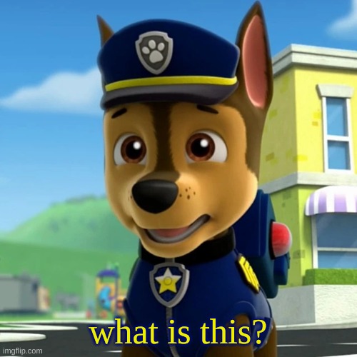 PAW Patrol: Chase Shocked/Scared(?) | what is this? | image tagged in paw patrol chase shocked/scared | made w/ Imgflip meme maker