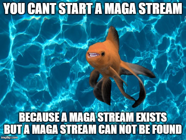 Maga Stream | YOU CANT START A MAGA STREAM; BECAUSE A MAGA STREAM EXISTS
BUT A MAGA STREAM CAN NOT BE FOUND | image tagged in maga,donald trump,trump,fjb,truth,social media | made w/ Imgflip meme maker