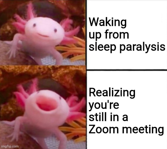 axolotl drake | Waking up from sleep paralysis; Realizing you're still in a Zoom meeting | image tagged in axolotl drake | made w/ Imgflip meme maker