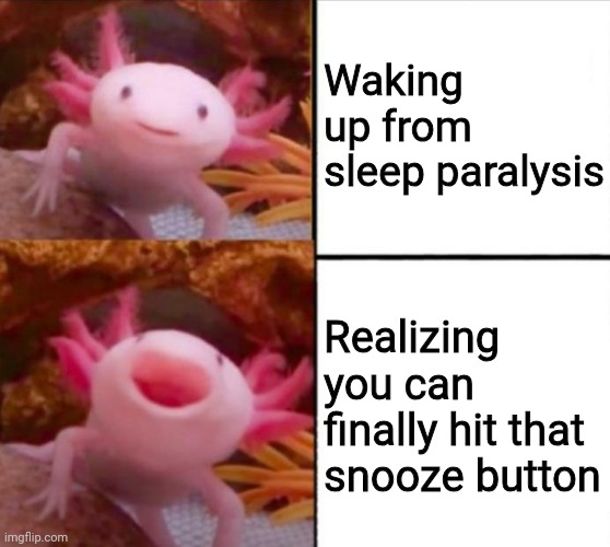 axolotl drake | Waking up from sleep paralysis; Realizing you can finally hit that snooze button | image tagged in axolotl drake | made w/ Imgflip meme maker