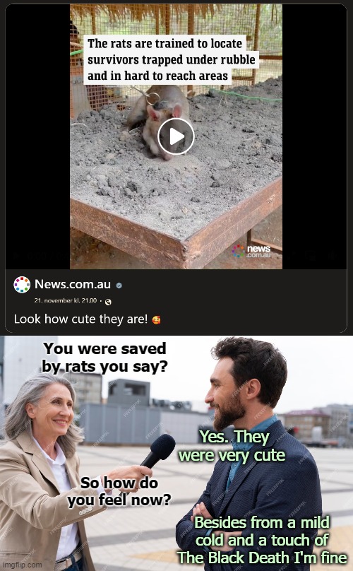 You were saved by rats you say? Yes. They were very cute; So how do you feel now? Besides from a mild cold and a touch of The Black Death I'm fine | image tagged in funny | made w/ Imgflip meme maker