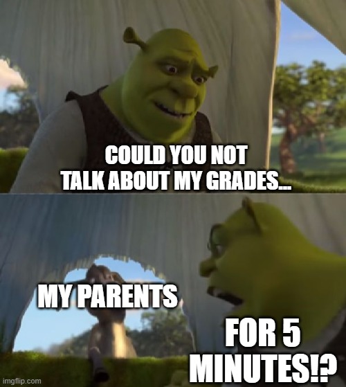 This is literally me RN | COULD YOU NOT TALK ABOUT MY GRADES... MY PARENTS; FOR 5 MINUTES!? | image tagged in could you not ___ for 5 minutes | made w/ Imgflip meme maker