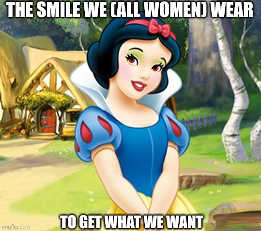 Brunette | THE SMILE WE (ALL WOMEN) WEAR; TO GET WHAT WE WANT | image tagged in brunette | made w/ Imgflip meme maker