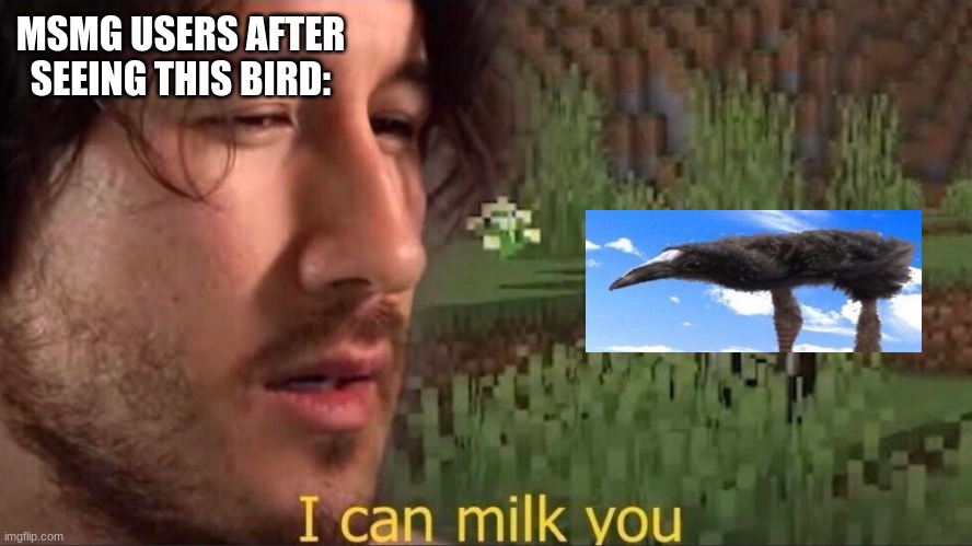 I can milk you (template) | MSMG USERS AFTER SEEING THIS BIRD: | image tagged in i can milk you template | made w/ Imgflip meme maker