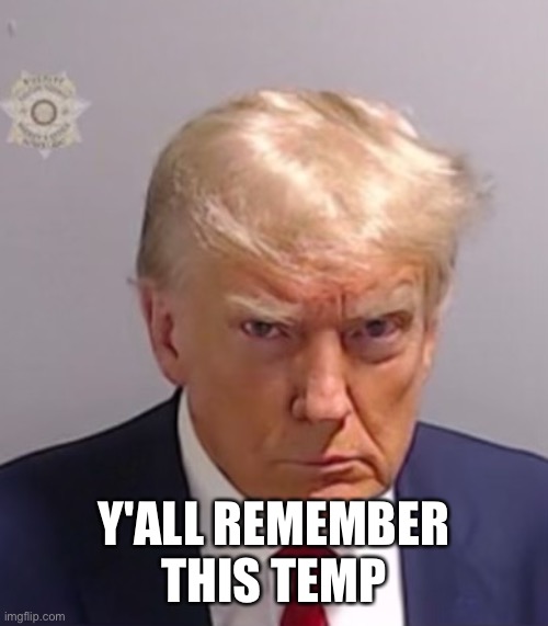 Donald Trump Mugshot | Y'ALL REMEMBER THIS TEMP | image tagged in donald trump mugshot | made w/ Imgflip meme maker