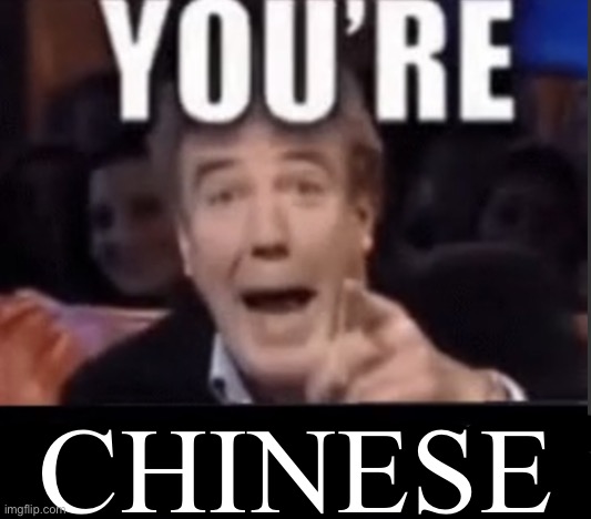 You're X (Blank) | CHINESE | image tagged in you're x blank | made w/ Imgflip meme maker