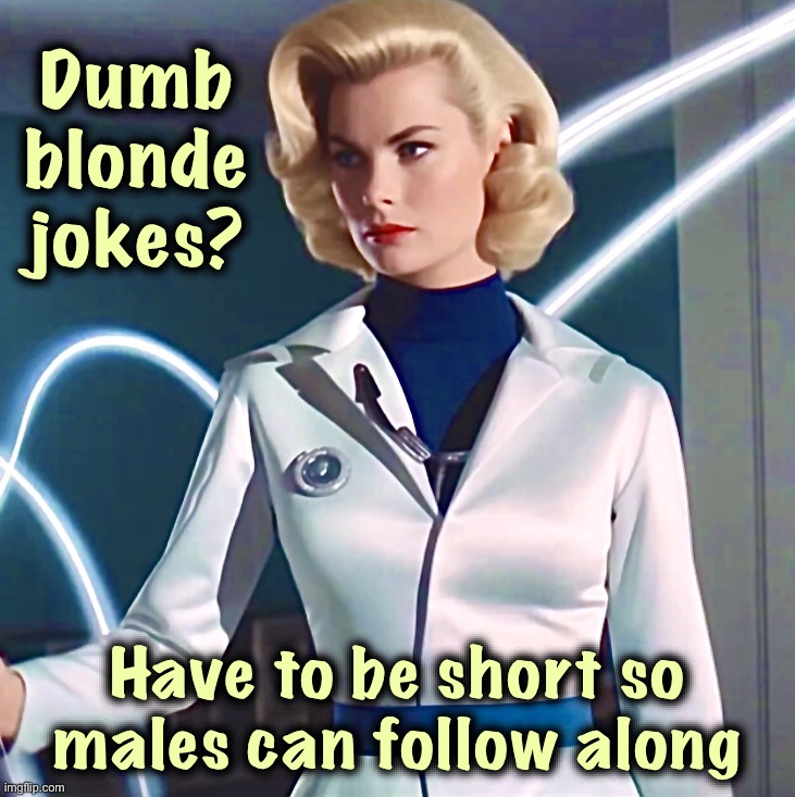 I don’t get it | Dumb blonde jokes? Have to be short so males can follow along | image tagged in invisible woman,memes,dumb blonde,scientist,bad jokes | made w/ Imgflip meme maker