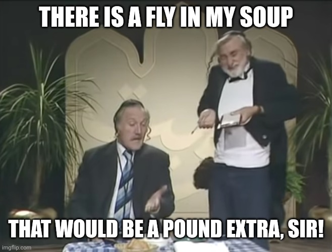 Fly in my soup | THERE IS A FLY IN MY SOUP; THAT WOULD BE A POUND EXTRA, SIR! | image tagged in fly,soup,funny | made w/ Imgflip meme maker