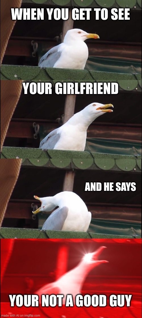 he says?? | WHEN YOU GET TO SEE; YOUR GIRLFRIEND; AND HE SAYS; YOUR NOT A GOOD GUY | image tagged in memes,inhaling seagull | made w/ Imgflip meme maker