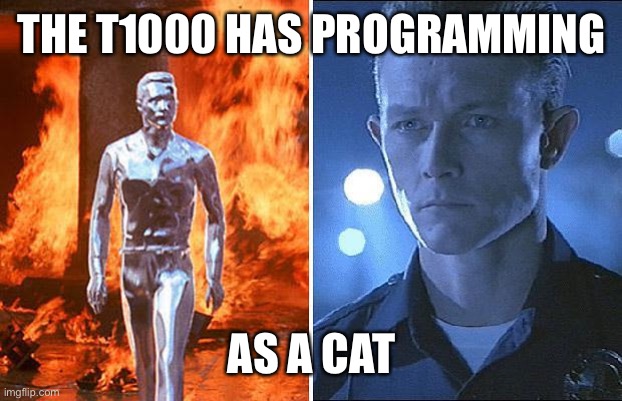 T1000 | THE T1000 HAS PROGRAMMING AS A CAT | image tagged in t1000 | made w/ Imgflip meme maker