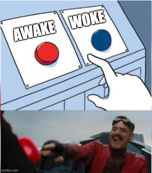 No-one's more asleep than those who think they woke | WOKE; AWAKE | image tagged in robotnik pressing red button | made w/ Imgflip meme maker