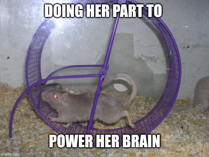 Green energy | DOING HER PART TO POWER HER BRAIN | image tagged in green energy | made w/ Imgflip meme maker