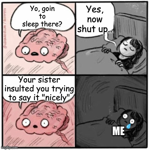 True thing that happened. Wanted this in a stream about Karma or smt, but none was made :( | Yes, now shut up.. Yo, goin to sleep there? Your sister insulted you trying to say it "nicely"; 💧; ME | image tagged in brain before sleep | made w/ Imgflip meme maker