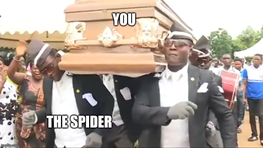 YOU THE SPIDER | image tagged in coffin dance | made w/ Imgflip meme maker