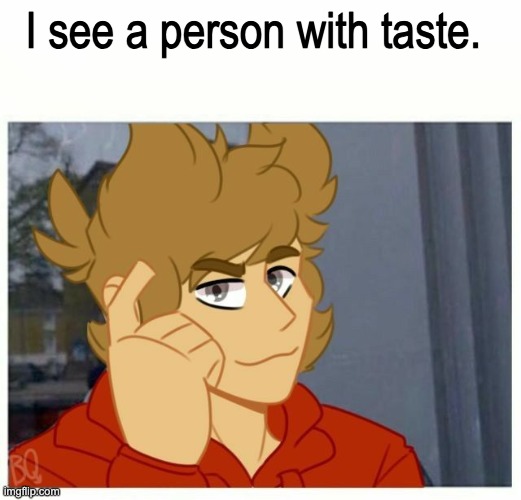 tord smart | I see a person with taste. | image tagged in tord smart | made w/ Imgflip meme maker