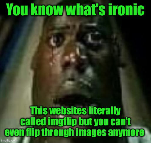 terror | You know what’s ironic; This websites literally called imgflip but you can’t even flip through images anymore | image tagged in terror | made w/ Imgflip meme maker
