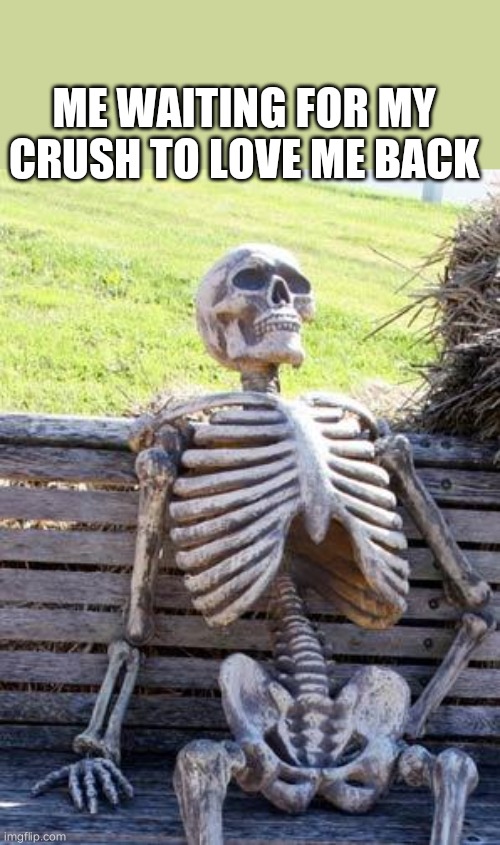 Waiting Skeleton Meme | ME WAITING FOR MY CRUSH TO LOVE ME BACK | image tagged in memes,waiting skeleton | made w/ Imgflip meme maker