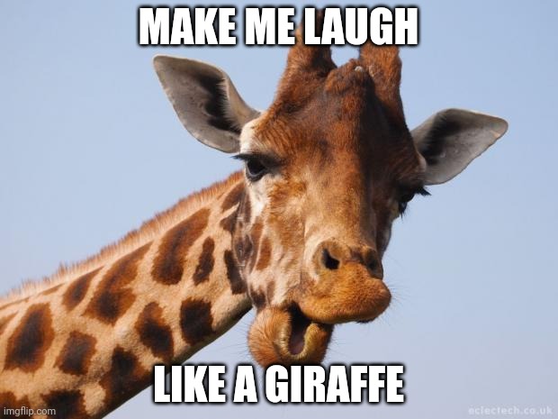 Comeback Giraffe | MAKE ME LAUGH; LIKE A GIRAFFE | image tagged in comeback giraffe | made w/ Imgflip meme maker