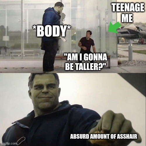 *me crying* | TEENAGE ME; *BODY*; "AM I GONNA BE TALLER?"; ABSURD AMOUNT OF ASSHAIR | image tagged in hulk taco,ass hair,teenager,funny,relatable,this was a gross post sry | made w/ Imgflip meme maker