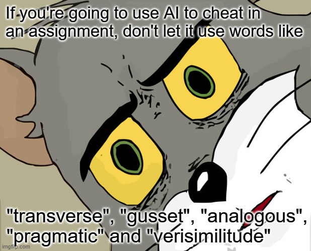 Unsettled Tom Meme | If you're going to use AI to cheat in an assignment, don't let it use words like; "transverse", "gusset", "analogous", "pragmatic" and "verisimilitude" | image tagged in memes,unsettled tom | made w/ Imgflip meme maker