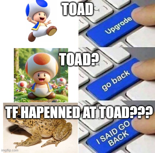 Toad meme | TOAD; TOAD? TF HAPENNED AT TOAD??? | image tagged in i said go back | made w/ Imgflip meme maker