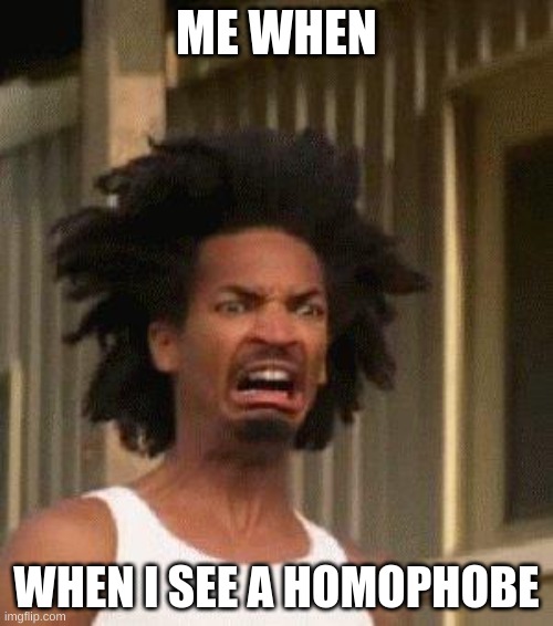Disgusted Face | ME WHEN; WHEN I SEE A HOMOPHOBE | image tagged in disgusted face | made w/ Imgflip meme maker