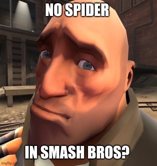 no anime? | NO SPIDER IN SMASH BROS? | image tagged in no anime | made w/ Imgflip meme maker