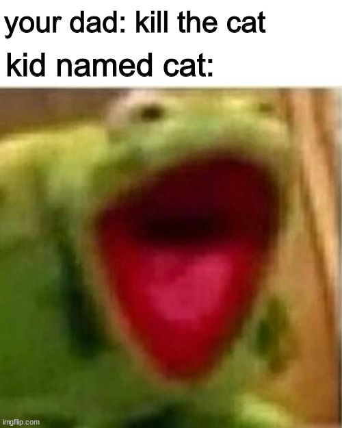 uh | your dad: kill the cat; kid named cat: | image tagged in ahhhhhhhhhhhhh | made w/ Imgflip meme maker