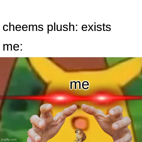 me irl | cheems plush: exists; me:; me | image tagged in memes,surprised pikachu | made w/ Imgflip meme maker