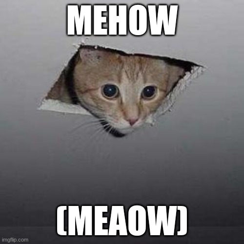 Ceiling Cat | MEHOW; (MEAOW) | image tagged in memes,ceiling cat | made w/ Imgflip meme maker