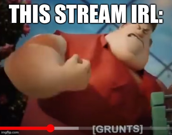 This stream irl | image tagged in this stream irl | made w/ Imgflip meme maker