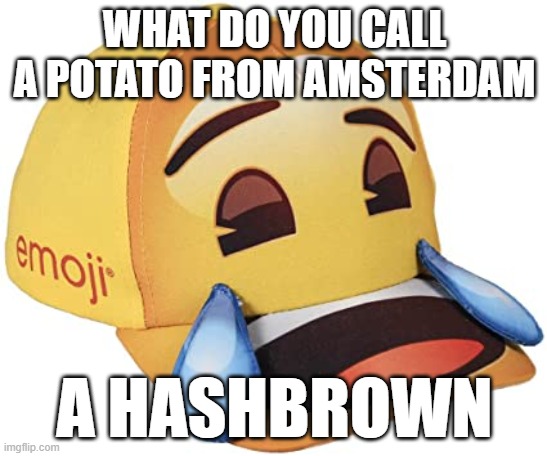 Rofl | WHAT DO YOU CALL A POTATO FROM AMSTERDAM; A HASHBROWN | image tagged in rofl,eyeroll,dark humor | made w/ Imgflip meme maker