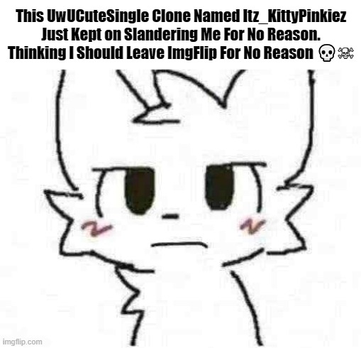 She Couldn't Handle Any Propaganda Since Now?(Character : MauzyMice) | This UwUCuteSingle Clone Named Itz_KittyPinkiez Just Kept on Slandering Me For No Reason. Thinking I Should Leave ImgFlip For No Reason 💀☠ | image tagged in what is homies texting about,pro-fandom,drama,skull face | made w/ Imgflip meme maker